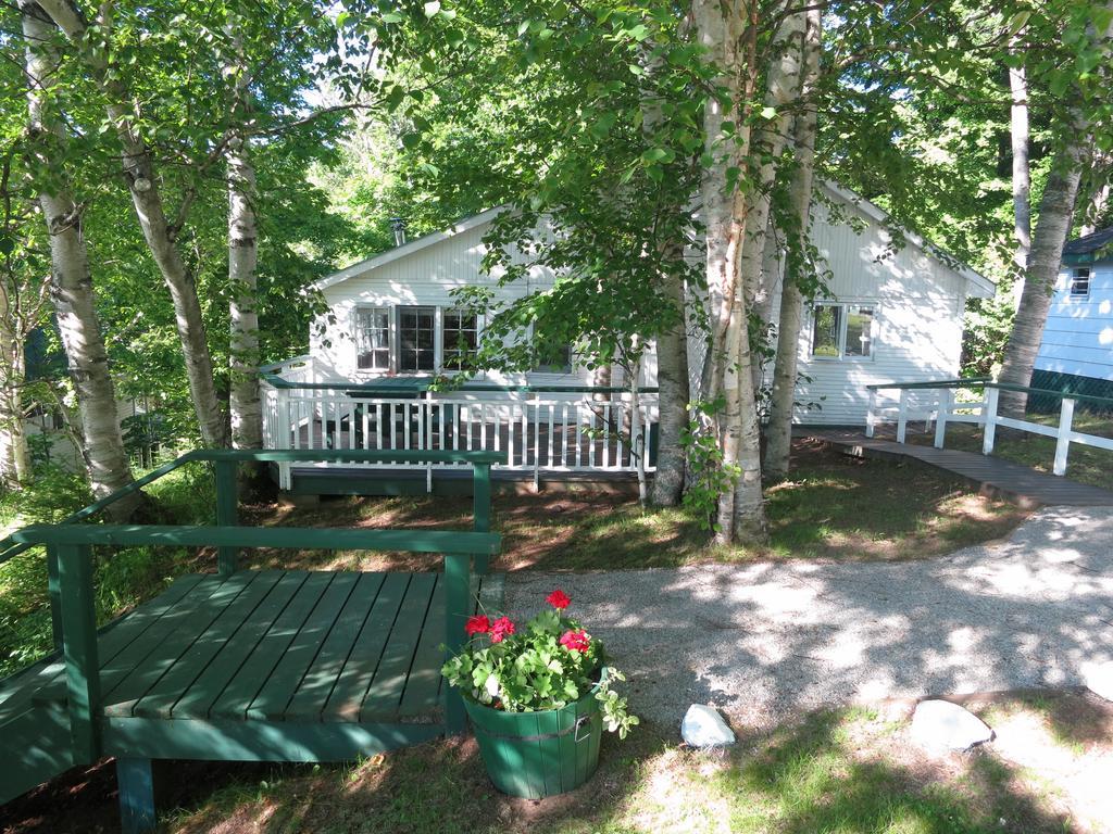 Birch Cliff Lodge On Baptiste Lake Highland Grove 객실 사진